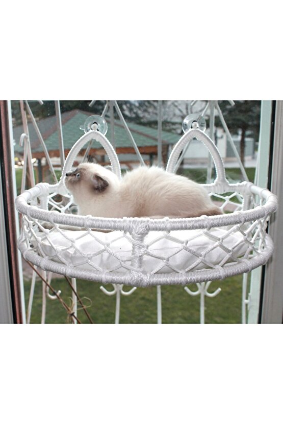 Cedric Kedi Cam Yatağı & Cam Askılı Vantuzlu Kedi Yatağı Beyaz