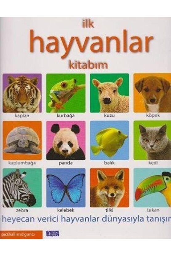Ilk Hayvanlar Kitabım