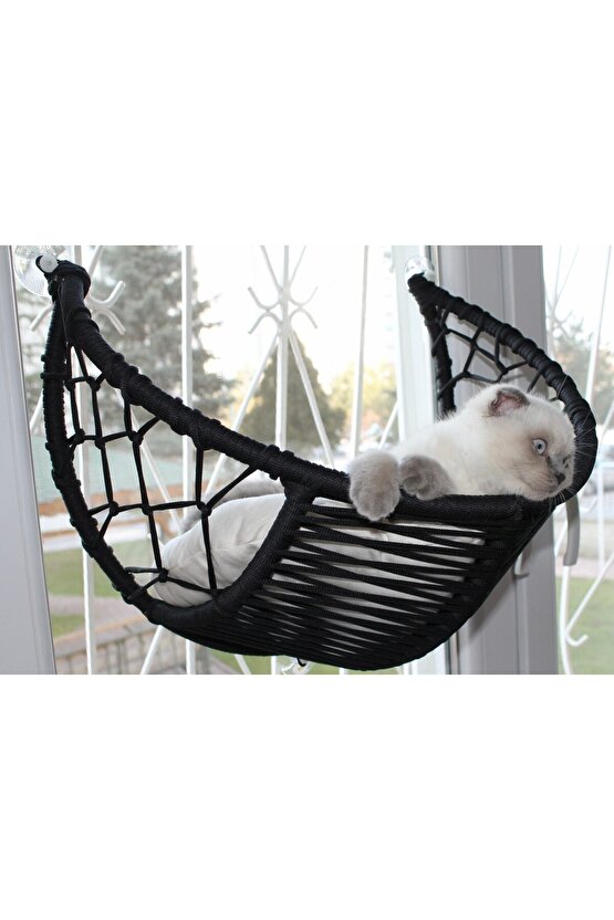 Harold Kedi Cam Yatağı & Cam Askılı Vantuzlu Kedi Yatağı Siyah