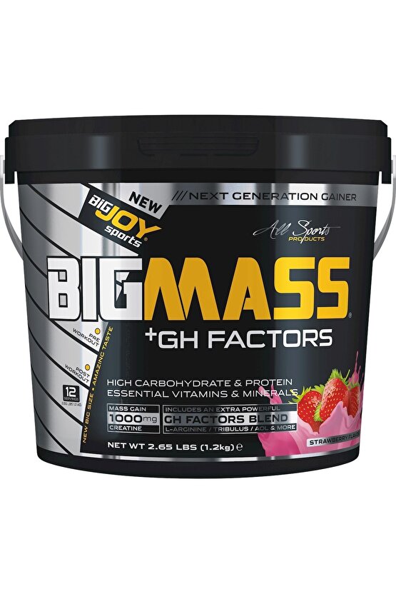 Bigjoy Big Mass Gh Factors 1,2 Kg Çilekli Gainer