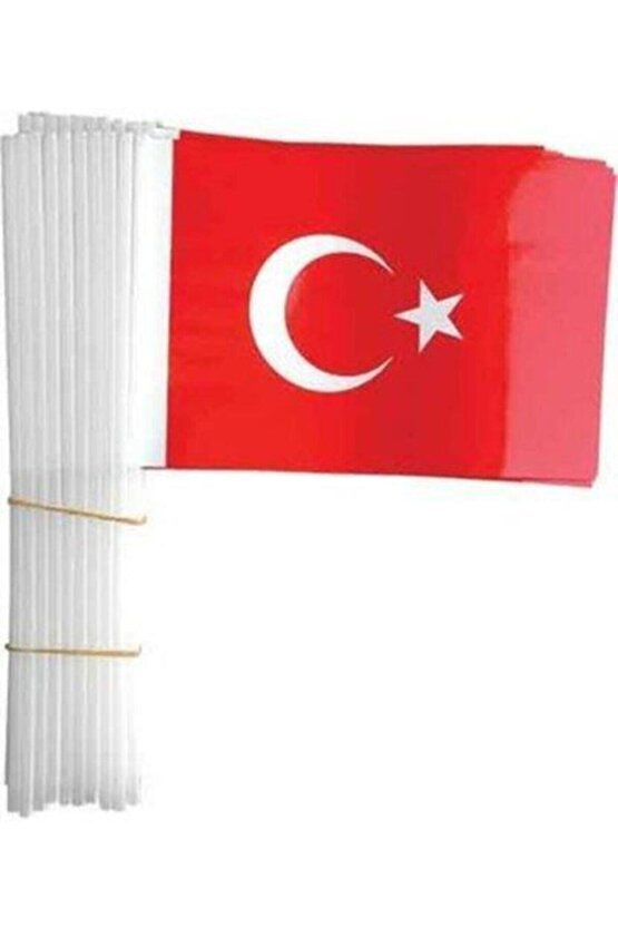 Vatan Battal Boy Çıtalı Kağıt Türk Bayrağı 50 Li