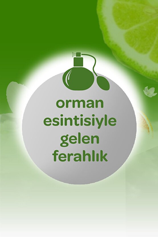 Kolonya Orman Esintisi 150 ml