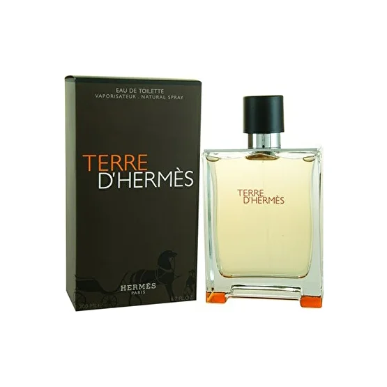 Hermes Terre DHermes EDT 100 ml Erkek Parfümü 