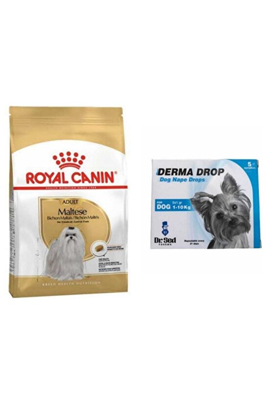 Maltese Terrier Yetişkin Köpek Maması 1,5 kg + Derma Drop 5*1 ml