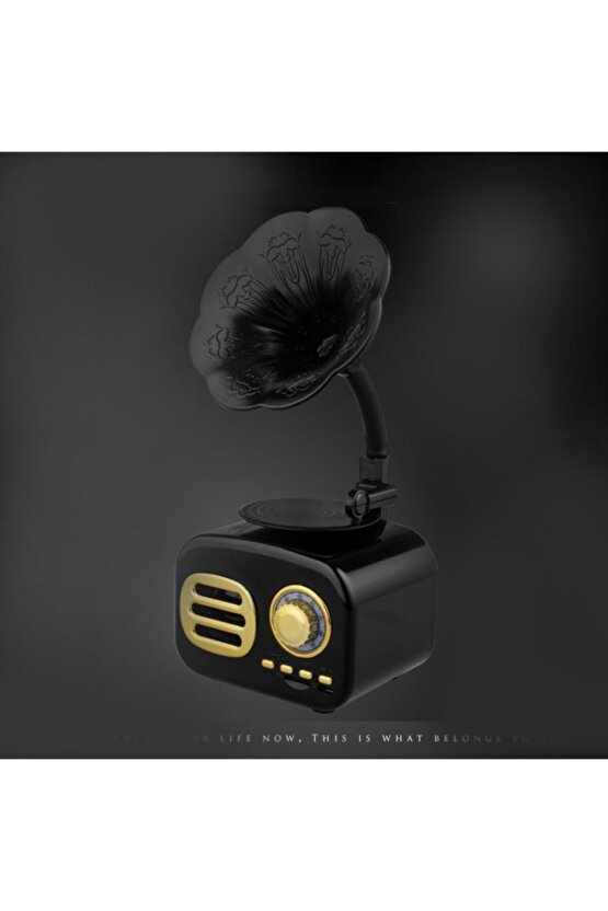 Ft-05 Mini Retro Ahşap Gramafon Radyo Music Box Bluetooth Hoparlör Siyah