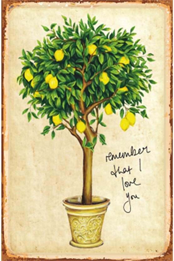 Saksıdaki Limon Ağacı Retro Ahşap Poster
