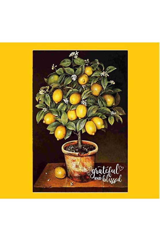 Ahsap Poster Limon Ağacı