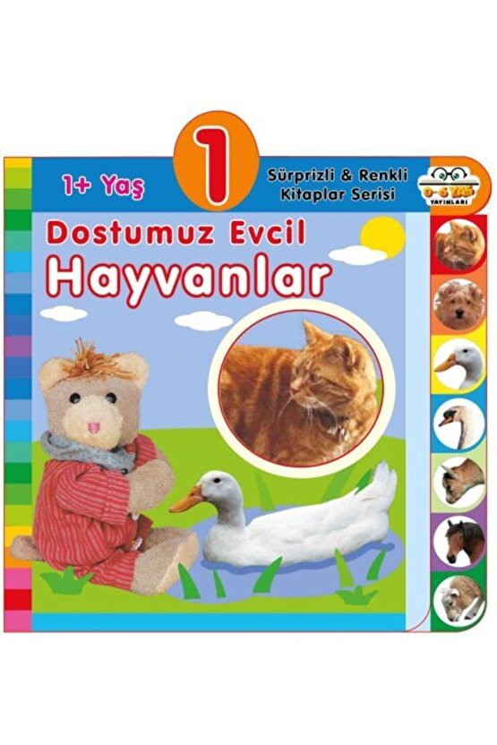 1+ Yaş Dostumuz Evcil Hayvanlar - Sürprizli Ve Renkli Kitaplar