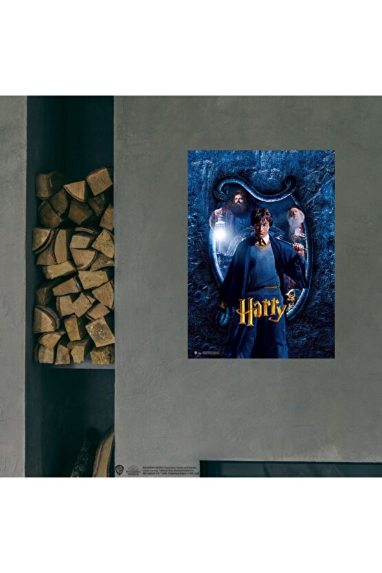Harry Potter Posteri Lisanslı Kuşe Kağıt Hd Baskı