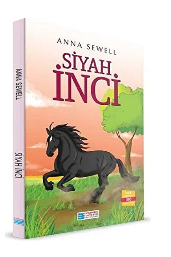 Evrensel Siyah İnci - Günışığı Konuşmak Yok - Kim Takar Salatalık Kralı Toplam 3 Kitap