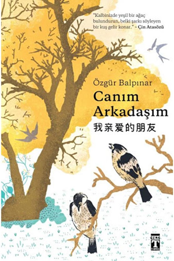 Düşperest Seti (5 Kitap) (düşler Atlası-yeryüzünün Kalbi-canım Arkadaşım-göğü Yere-dünyayı)