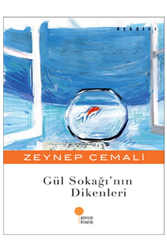 Evrensel Çocuk Kalbi - Zeynep Cemali Gül Sokağının Dikenleri - Gizli Formül Hangi Zarfta 3 Kitap