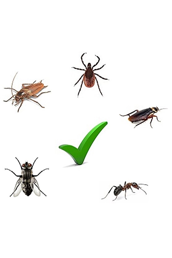 Agilis Haşere Ilacı 50ml Sivrisinek Karasinek Hamamböceği Kene Akreplere Etkili