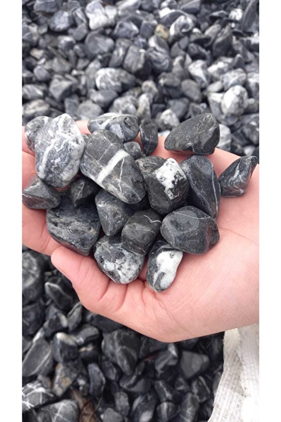 Black Stone - Kırçıllı Siyah 10kg 2-4cm Doğal Dekoratif Peyzaj Süs Taşı