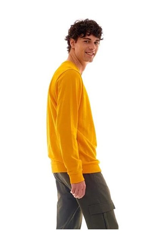 Lİsanslı Sarı Unisex Sweatshirt Hediye Aslan Ahşap Kutulu