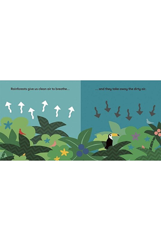 Eco Baby: Rainforest | 0-3 Yaş Çocuk Resimli İngilizce Kitap