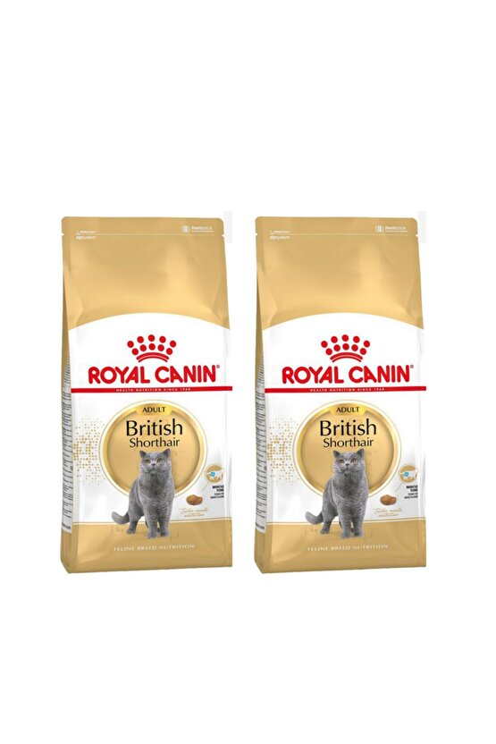 British Shorthair Adult Kedi Kuru Maması 2 kg X 2 Adet