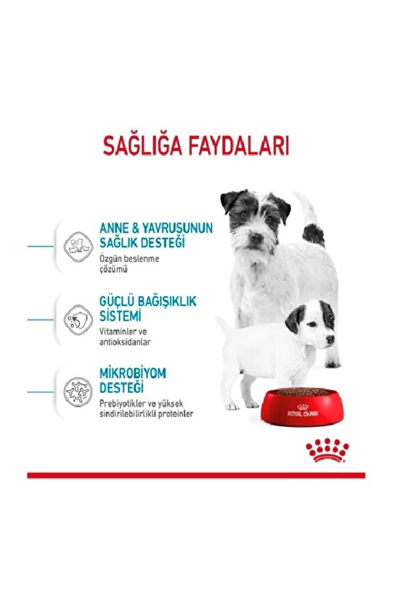 Mini Starter Mother&Babydog Küçük Irk Yavru Köpek Maması 4kg Puppy Dog Food