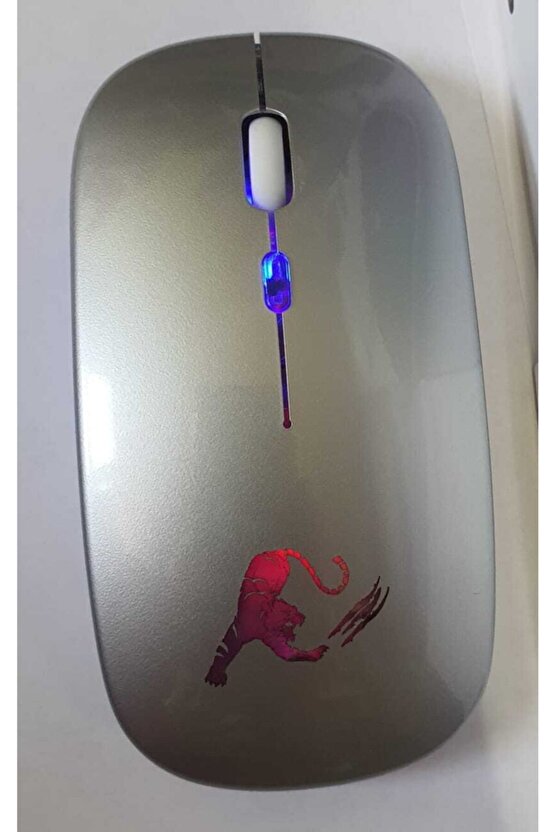 Rgb Led Işıklı Şarjlı Kablosuz Mouse Sessiz 2.4 Ghz Usb Wireless 800-1200-1600 Ayarlanabilir Dpi