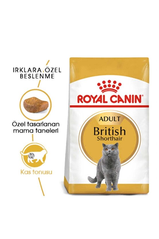 British Shorthair Adult Kedi Kuru Maması 2 kg