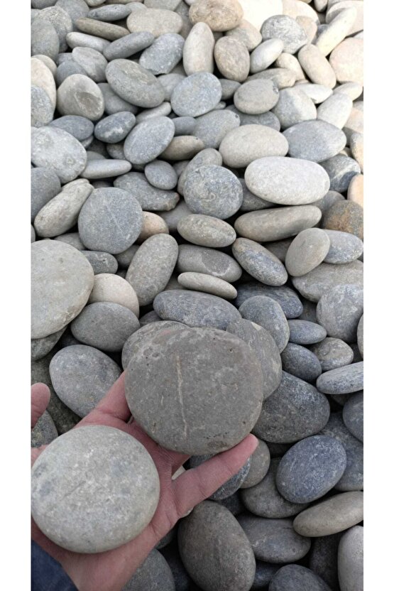 Podima Taşı 5kg 6-8 Doğal Dekoratif Peyzaj Dolamit Granit Gnays Bordo Süs Taşı