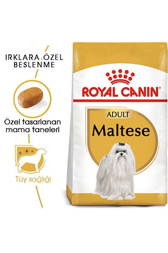 Maltese Bichon Maltais Köpek Maması 1.5 Kg