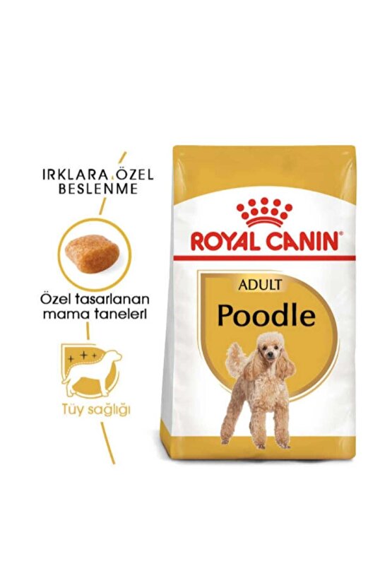 Neo Pet Market Royal Canin Dog Bhn Poodle Yetişkin Köpek Maması 3 Kg