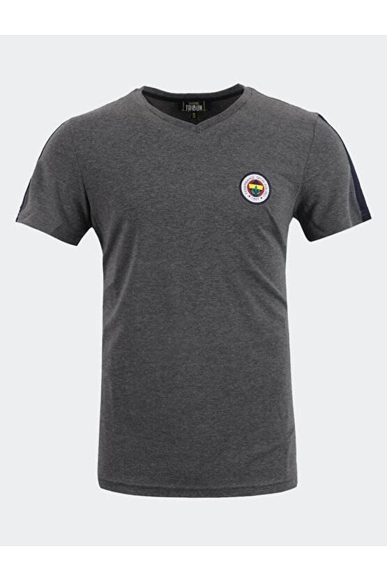 Fenerbahçe Lisanslı Erkek Gri Basic T-shirt Hediye Kanarya Ahşap Kutulu
