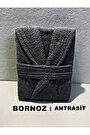 Antrasit Bornoz