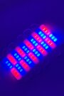 10 Adet Kırmızı - Navi Işık Çakarlı LED