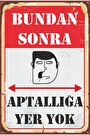 karışık