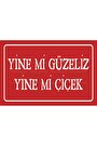 Çok Renkli
