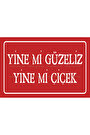 Çok Renkli