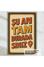 Çok Renkli