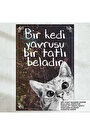 Çok Renkli