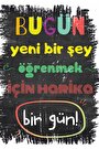 karışık