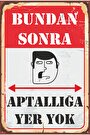 karışık
