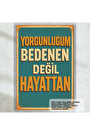 Çok Renkli