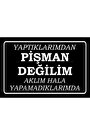 Çok Renkli