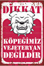 Çok Renkli