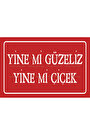 Çok Renkli