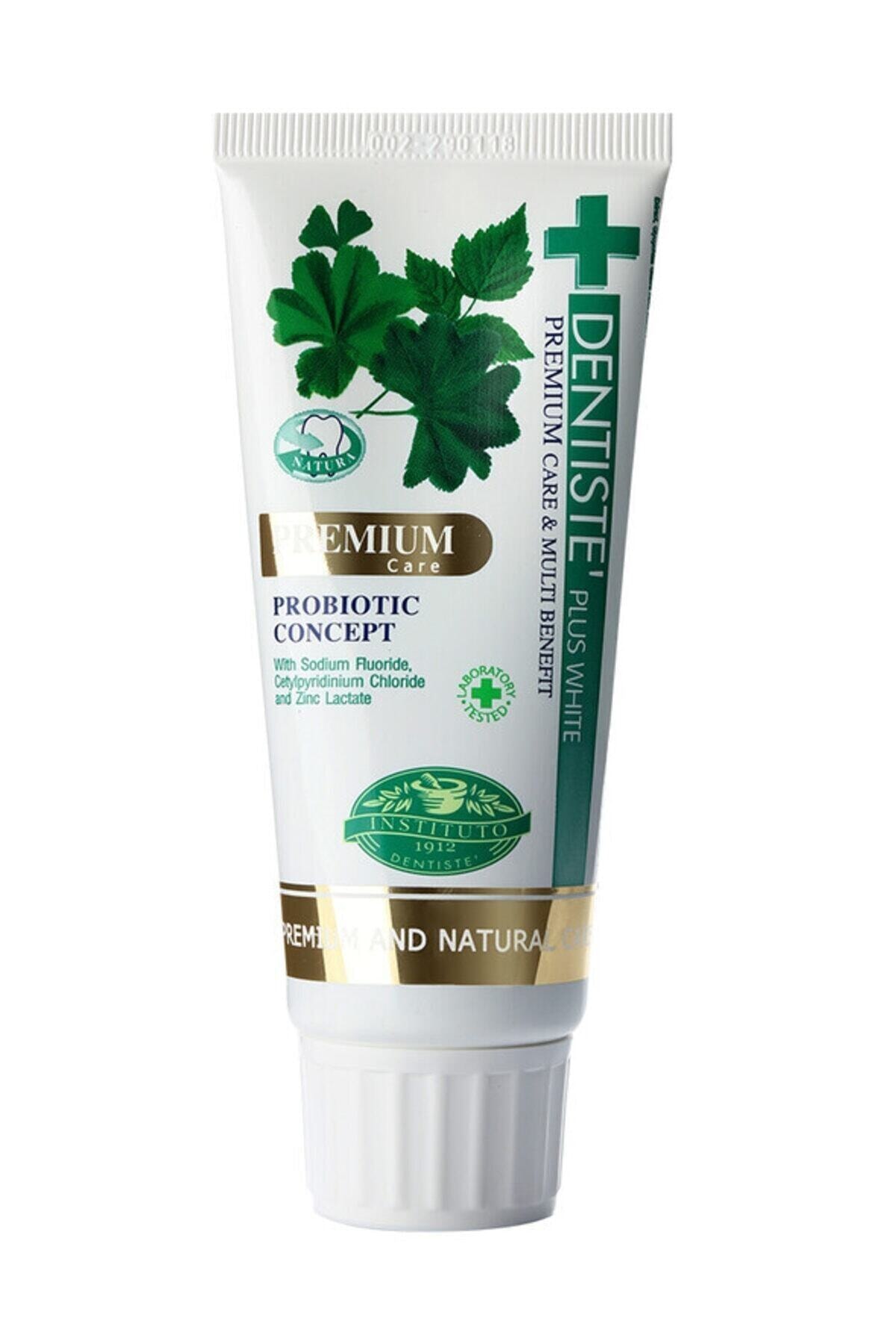 Dentiste Plus White Probiotic Concept Diş Macunu 50g Dentiste Plus White Probiotic Concept Diş Macunu 50g