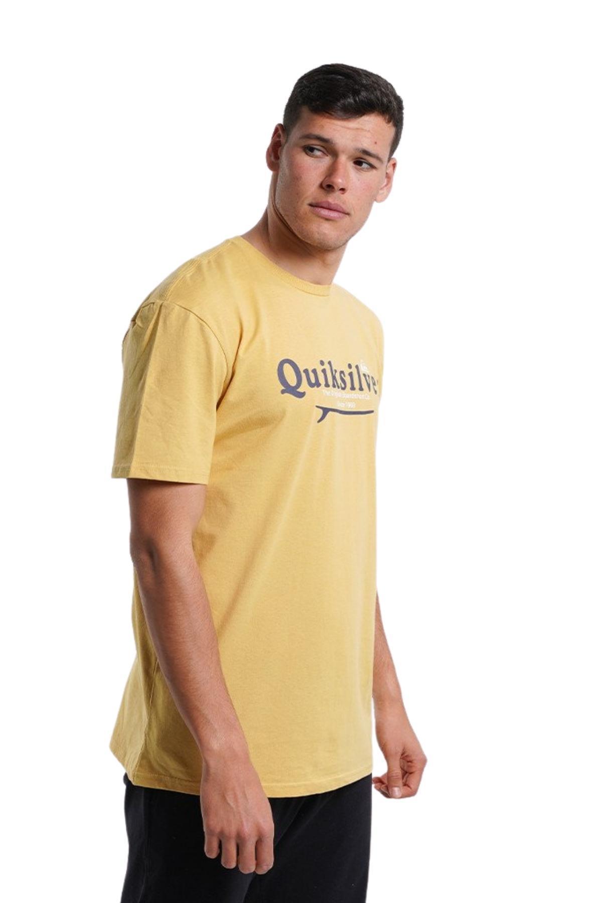 Quiksilver Quiksilver EQYZT06711 - Silver Lining Ss Erkek T-Shirt IR9555